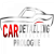 Review Car Detailing Simulator