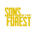 Servers Sons Of The Forest