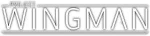 Review Project Wingman