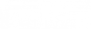 Review Metro Exodus