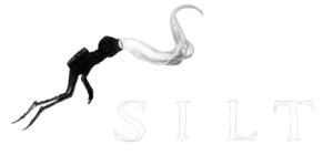 Review Silt