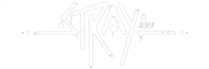Review Stray