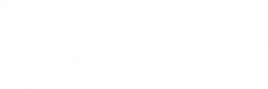 Review Microcosm