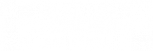 Review Endling - Extinction is Forever