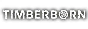 Review Timberborn