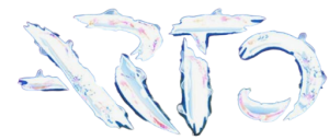 Review Arto