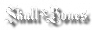 Review Skull and Bones