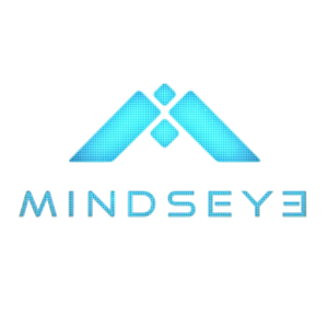 Review MindsEye