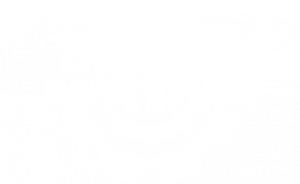 Review Kaiserpunk