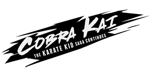 review Cobra Kai: The Karate Kid Saga Continues