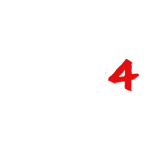 review MIR4