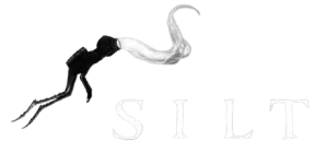 review Silt
