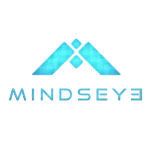 review MindsEye