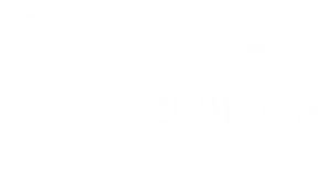 review Steel Hunters